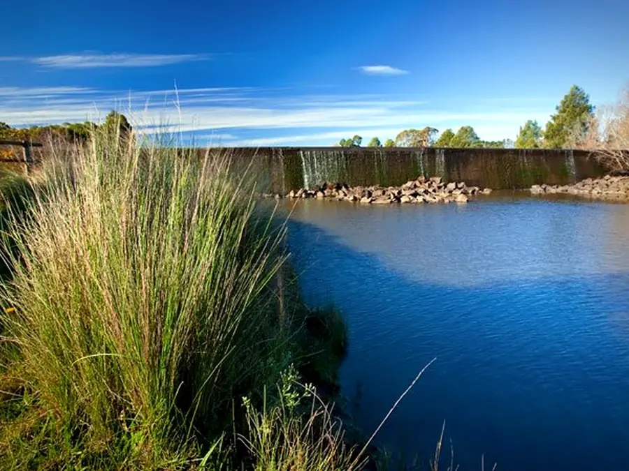 Cecil Hoskins Nature Reserve wetland