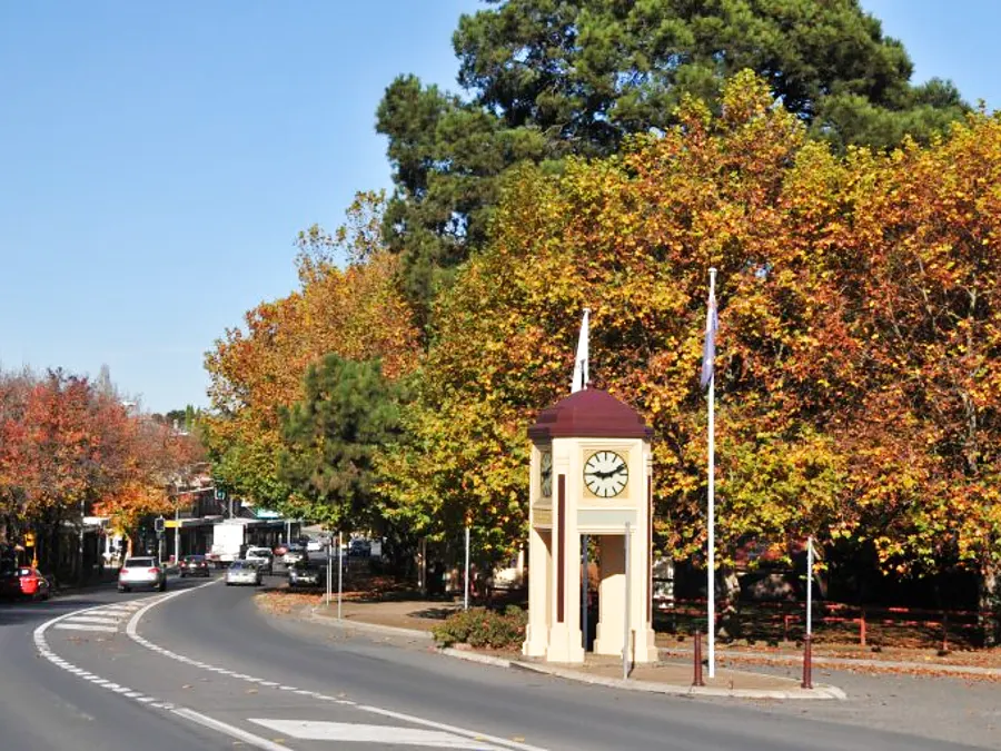 Moss Vale clock tower and autumn trees on Argyle Street