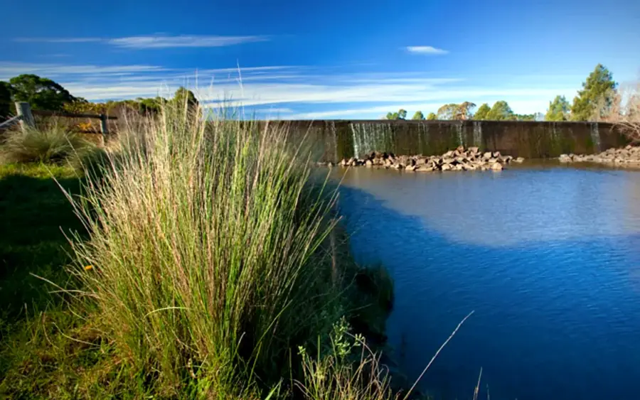Cecil Hoskins Nature Reserve wetland near Moss Vale