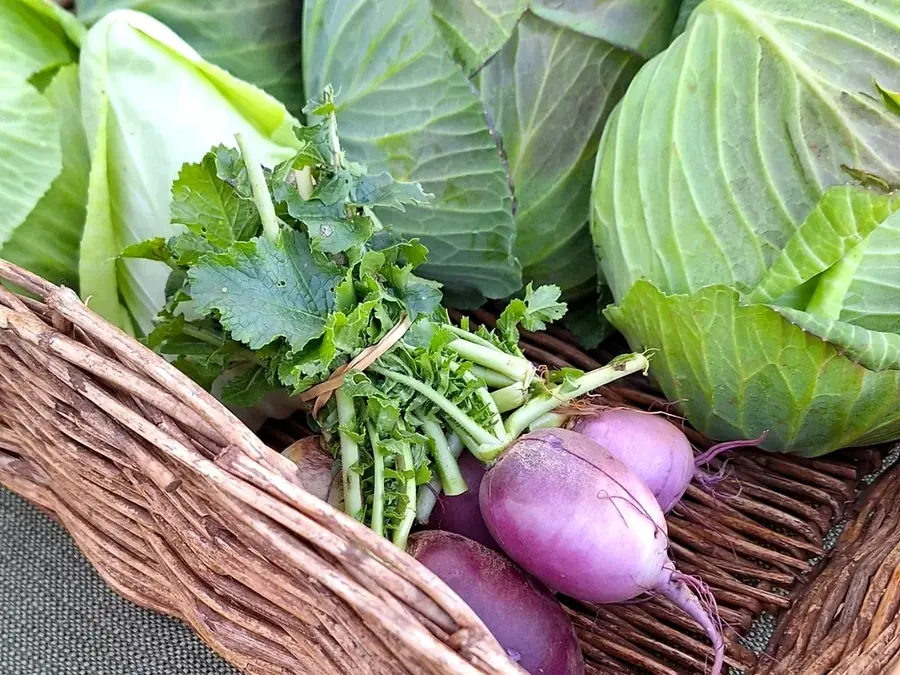 Moss Vale produce market stalls