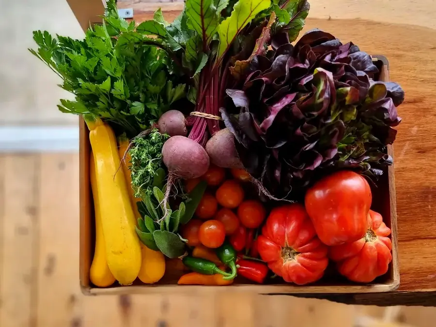 The What If Society fresh produce in Moss Vale
