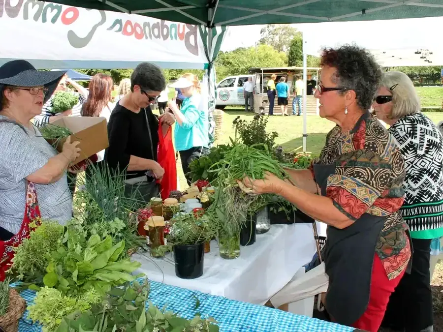 Moss Vale rural market and saleyards setting