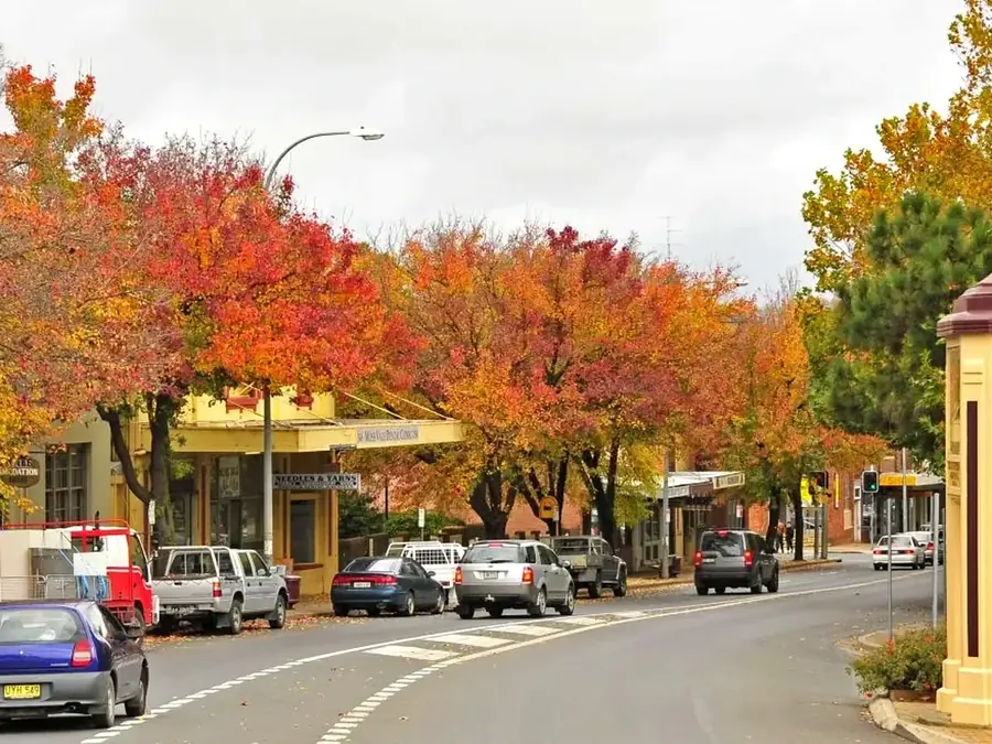 Autumn main-street shopping strip in Moss Vale