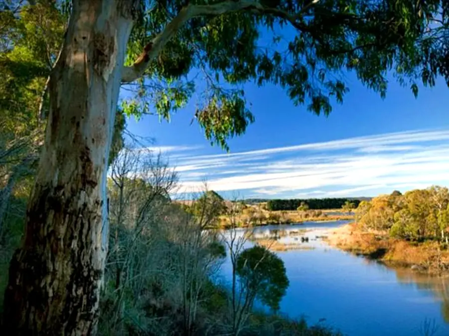 Trees, water, and bird habitat at Cecil Hoskins Nature Reserve
