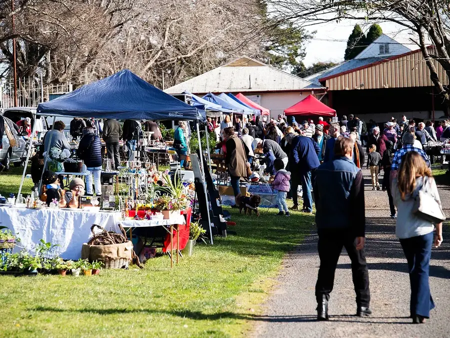 Moss Vale market day