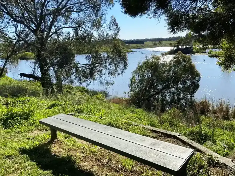Bench beside the water at Cecil Hoskins Nature Reserve