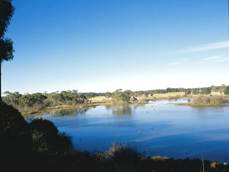Wide wetland view at Cecil Hoskins Nature Reserve near Moss Vale