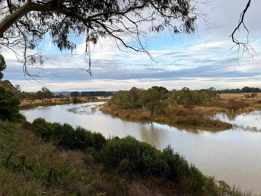 Open water and wetland at Cecil Hoskins Nature Reserve