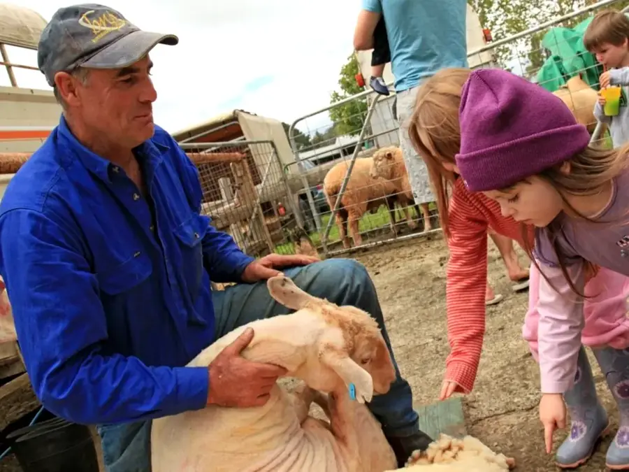 Moss Vale Showground and agricultural show