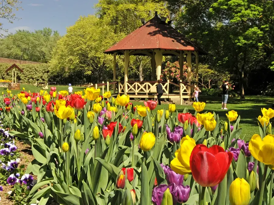 Leighton Gardens flowers and rotunda in spring