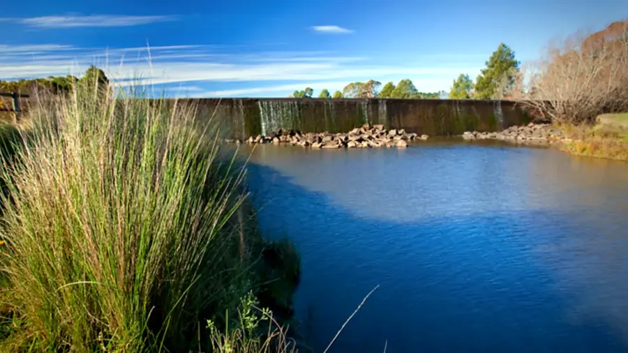 Cecil Hoskins Nature Reserve near Moss Vale