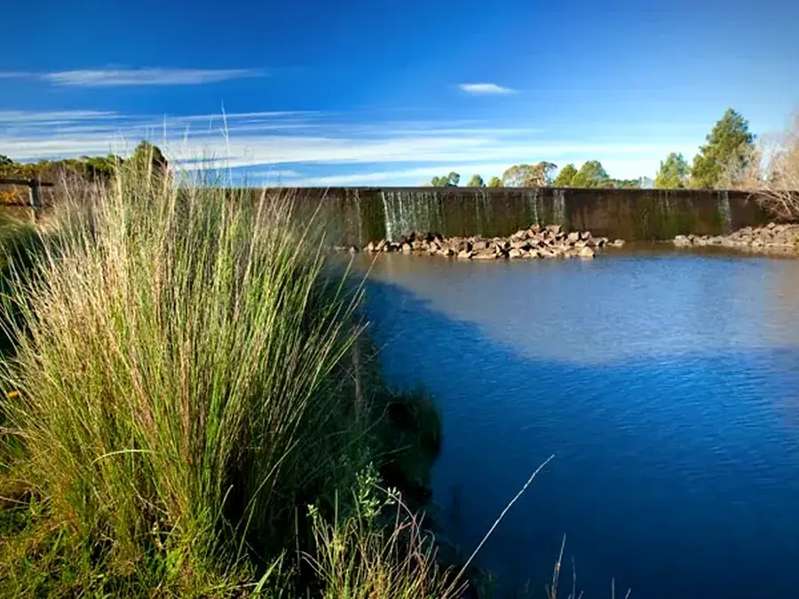 Cecil Hoskins wetland and nature tourism near Moss Vale
