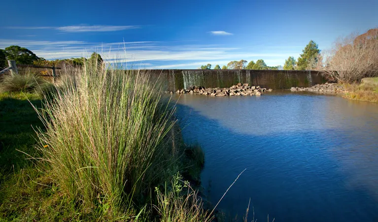 Cecil Hoskins Nature Reserve wetland near Moss Vale