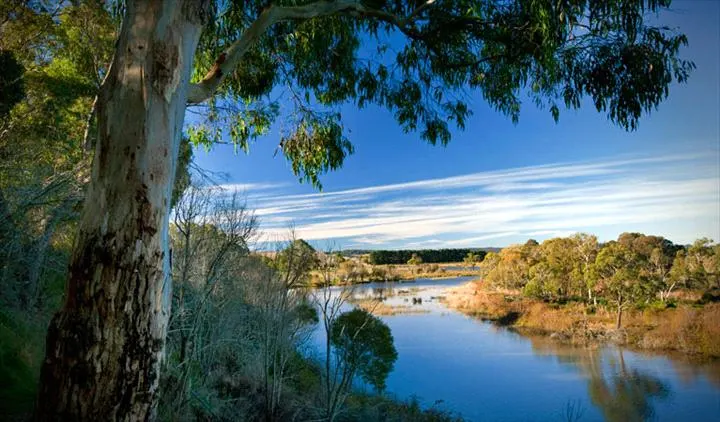 Cecil Hoskins wetland near Moss Vale