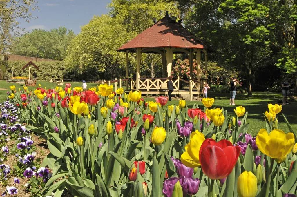 Leighton Gardens near Moss Vale cafes